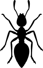 Ant Control- Pest Control Service in Karachi Fumigation Service