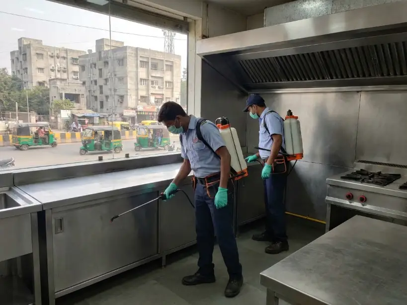 Commercial pest control