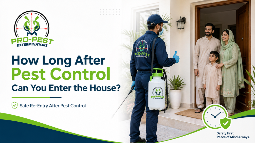 How Long After Pest Control Can You Enter the House