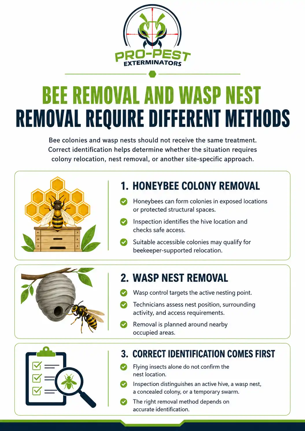 Beehive and Wasp Nest Removal Services 2 beehive and wasp nest removal Wasp Nest and Beehive Removal