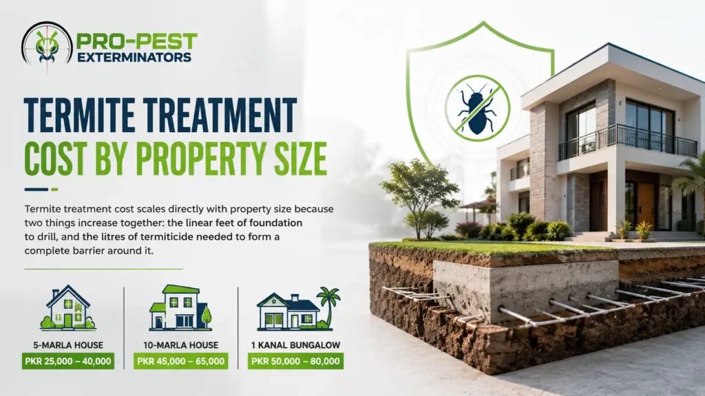 Termite Treatment Cost by Property Size